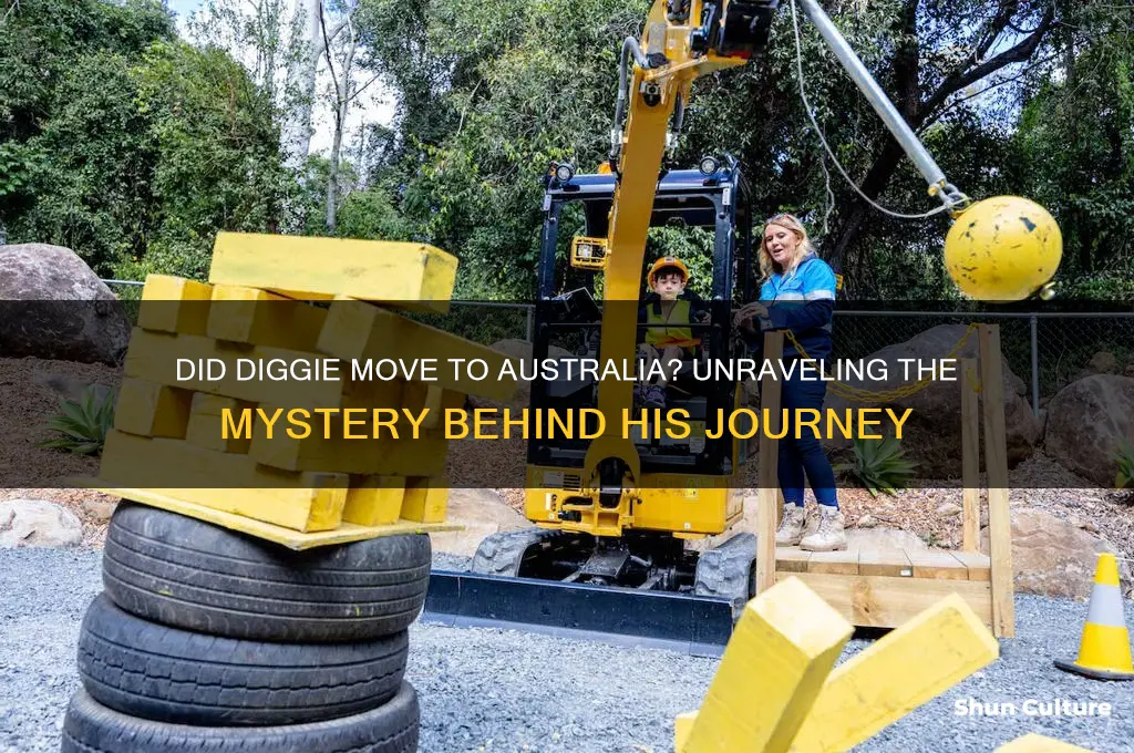 did diggie go to australia