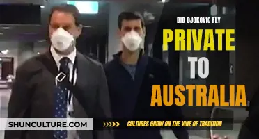 Djokovic's Private Jet Entry to Australia: What We Know
