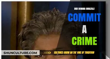 Did Donna Brazile Commit a Crime? Legal Analysis and Evidence