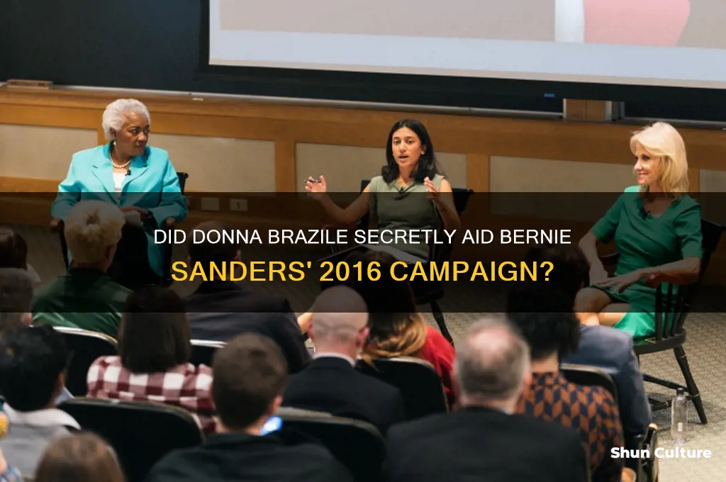 did donna brazile halp the sanders campaign