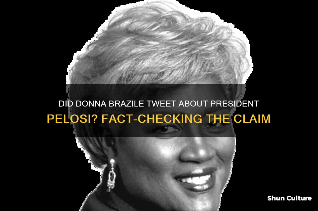 did donna brazile tweet president pelosi