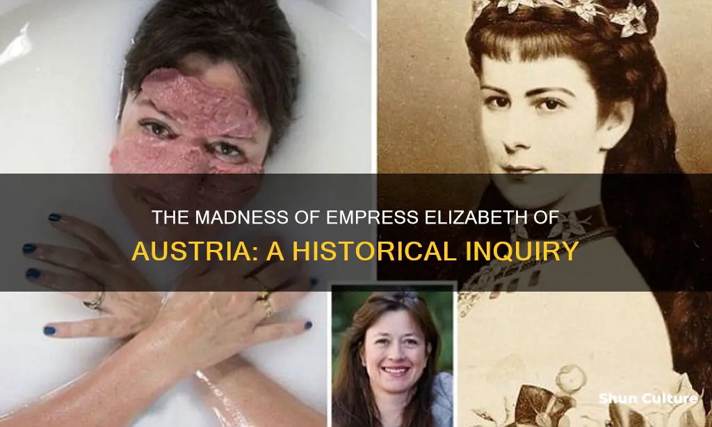 did elizabeth of austria have mental illness