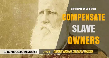 Brazil's Emperor Pedro II: Did He Compensate Slave Owners After Abolition?