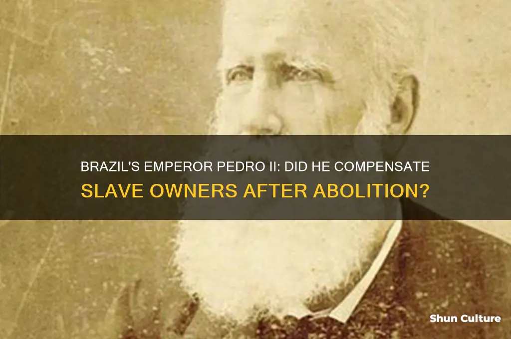 did emperor of brazil compensate slave owners