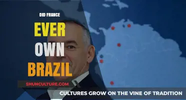Was Brazil Ever Under French Rule? Exploring Historical Claims and Myths