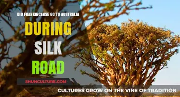 Frankincense's Journey: Did It Reach Australia via the Silk Road?