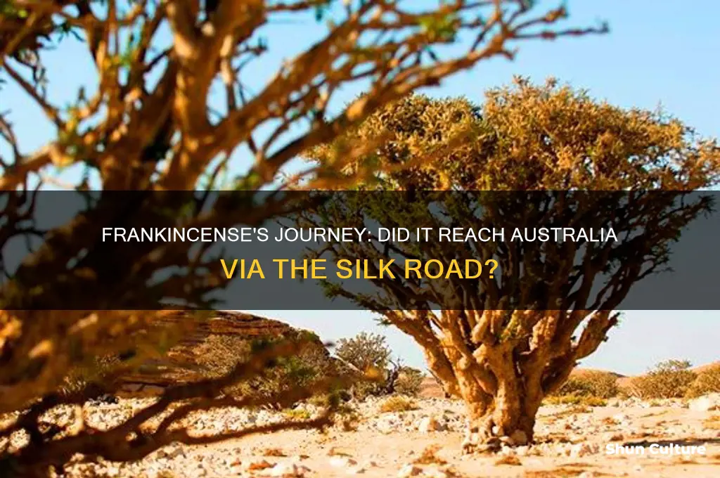 did frankincense go to australia during silk road