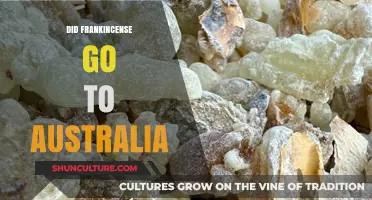 Frankincense's Journey: Did This Ancient Resin Reach Australian Shores?