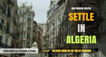 French Settlement in Algeria: History, Impact, and Legacy Explored