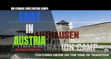 German Concentration Camps in Austria: Fact or Fiction?