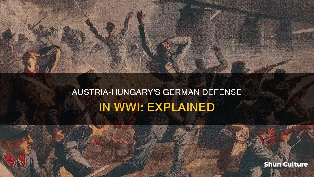 did germany defend austria hungary in ww1