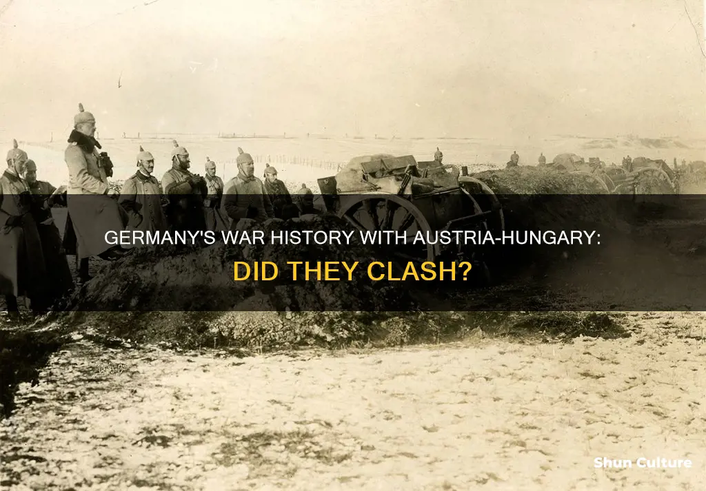 did germany ever went to war with austria hungary