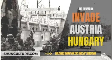 The German Invasion of Austria-Hungary: What Happened?