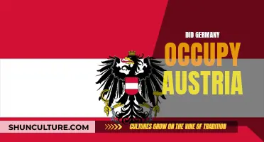 Germany's Annexation of Austria: Understanding the Occupation