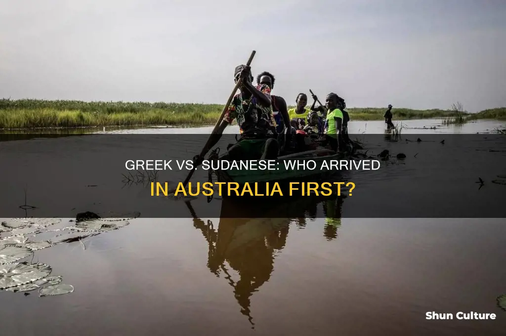 did greek or sudanese immigrants arrived in australia first
