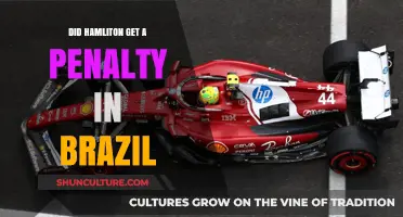 Hamilton's Brazil Penalty: What Happened at the Grand Prix?