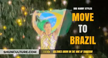 Harry Styles' Brazil Move: Fact or Fiction? Unraveling the Rumors
