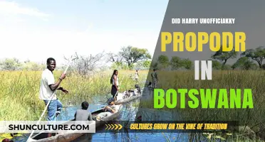 Harry's Unofficial Proposal in Botswana: Fact or Fiction?