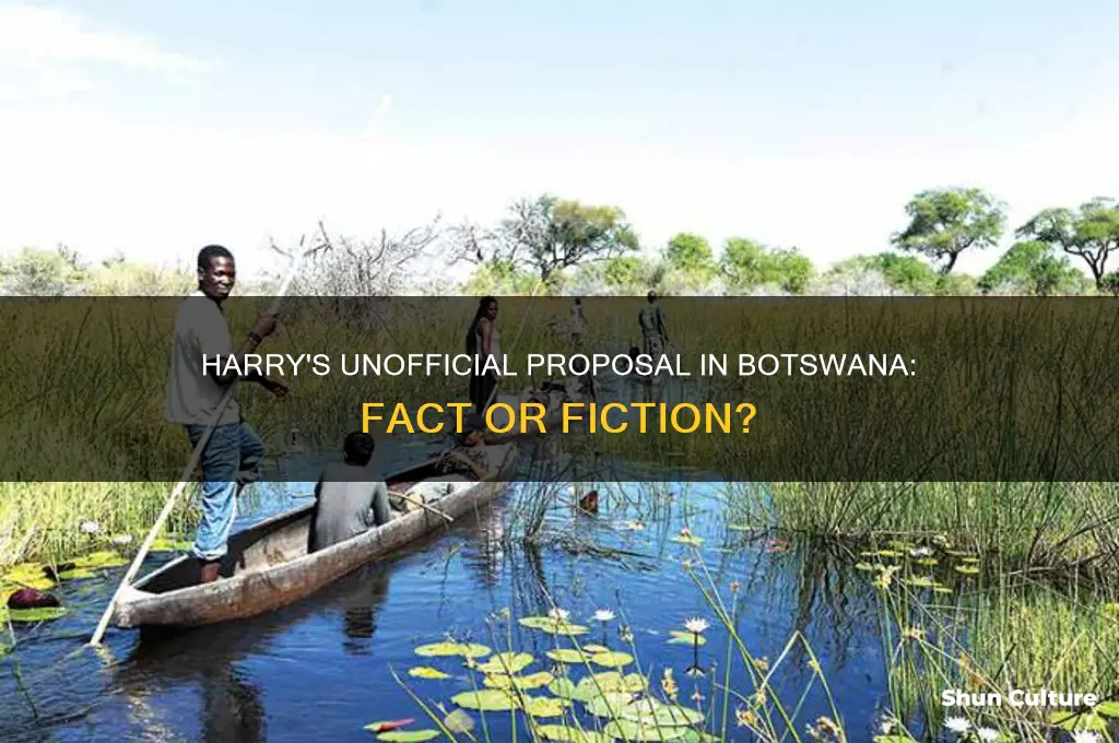 did harry unofficiakky propodr in botswana