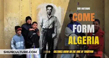 Exploring Haitian Origins: Unraveling the Algeria Connection Myth or Fact?