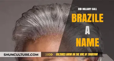 Hillary Clinton's Alleged Insult: Did She Call Donna Brazile a Name?