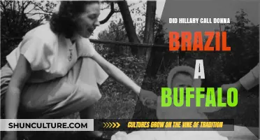 Did Hillary Clinton Call Donna Brazile a Buffalo? Unraveling the Controversy