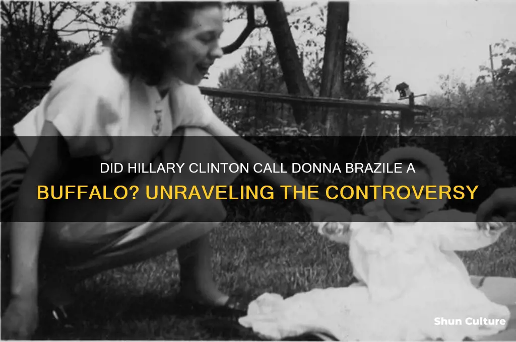 did hillary call donna brazil a buffalo