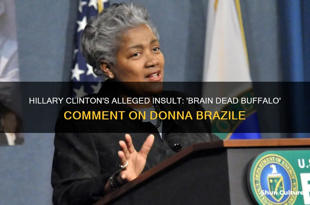 did hillary call donna brazile a brain dead buffalo