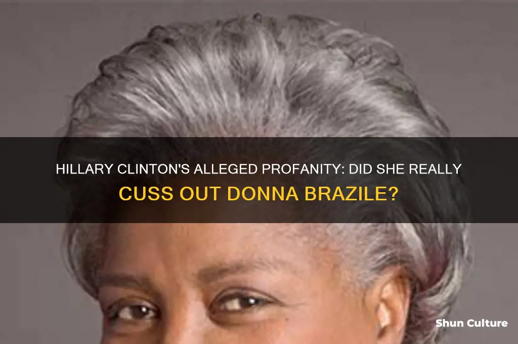 did hillary cuss brazile