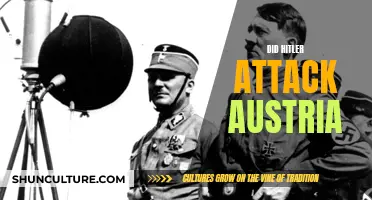 Hitler's Austrian Attack: What Happened and Why?