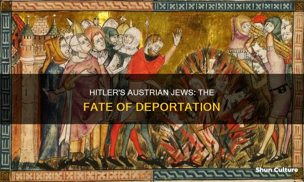 did hitler deport austrian jews