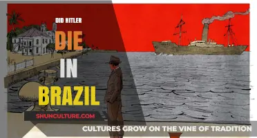 Hitler's Death Mystery: Brazil's Hidden Truth or Historical Myth?