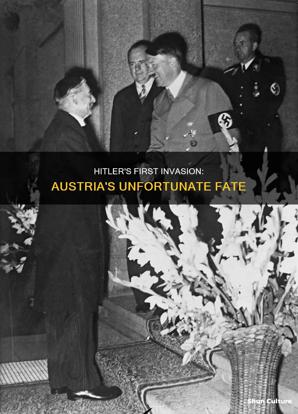 did hitler invade austria first