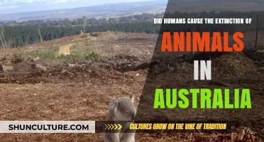 Human Impact: Australia's Animal Extinction Culprit?