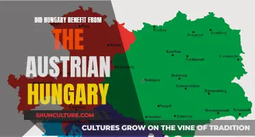 Hungary's Austrian Empire Legacy: Benefits and Burdens