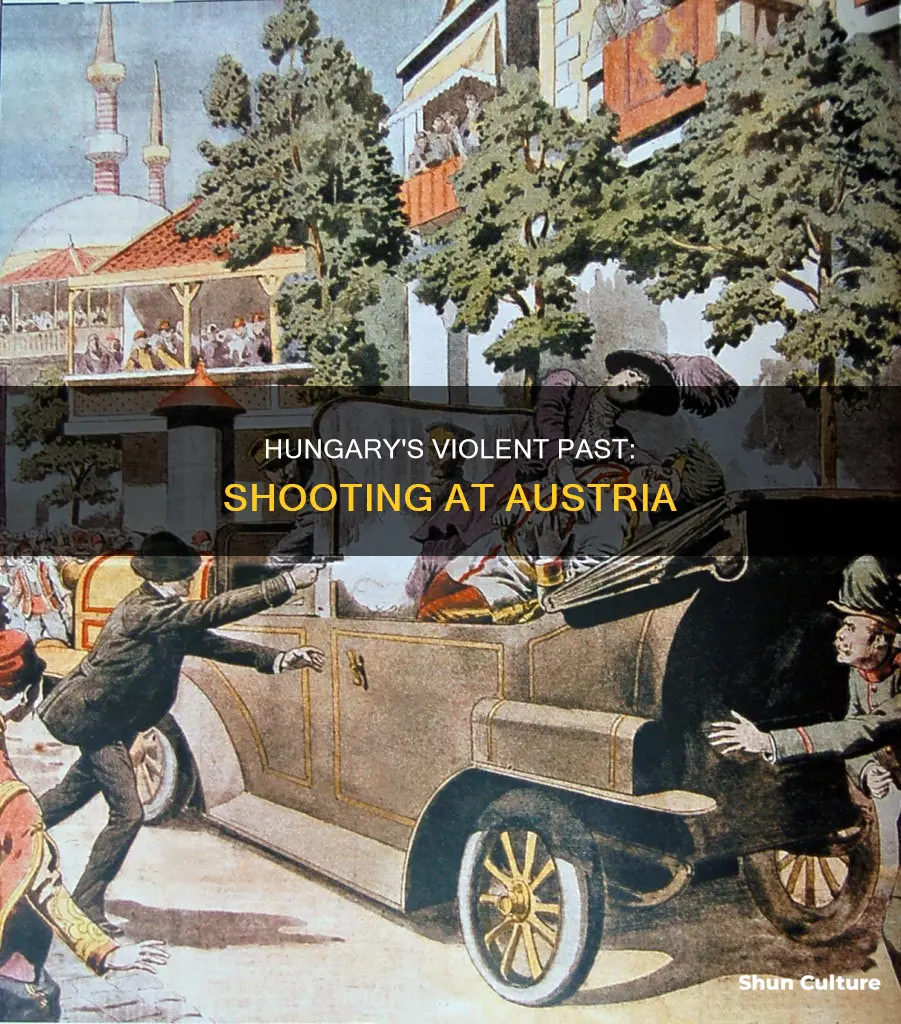 did hungary shoot austria