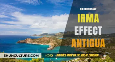 Hurricane Irma's Impact: How Antigua Fared in the Storm