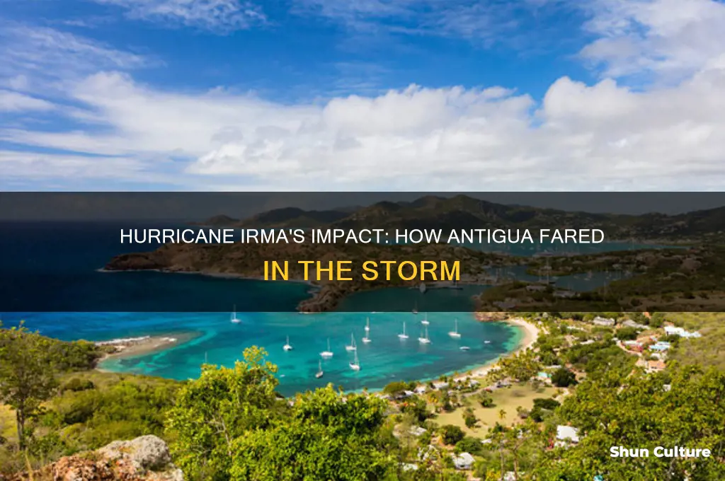 did hurricane irma effect antigua