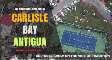 Hurricane Irma's Impact on Carlisle Bay, Antigua: A Comprehensive Analysis