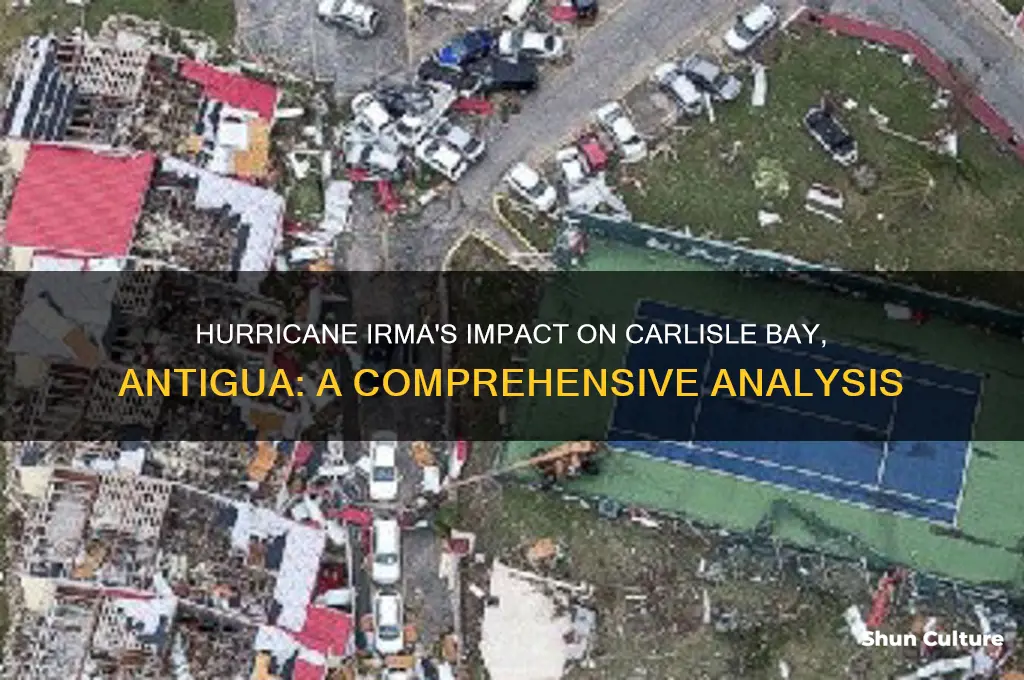 did hurricane irma effect carlisle bay antigua