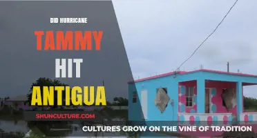 Hurricane Tammy's Impact: Did Antigua Face the Storm's Fury?