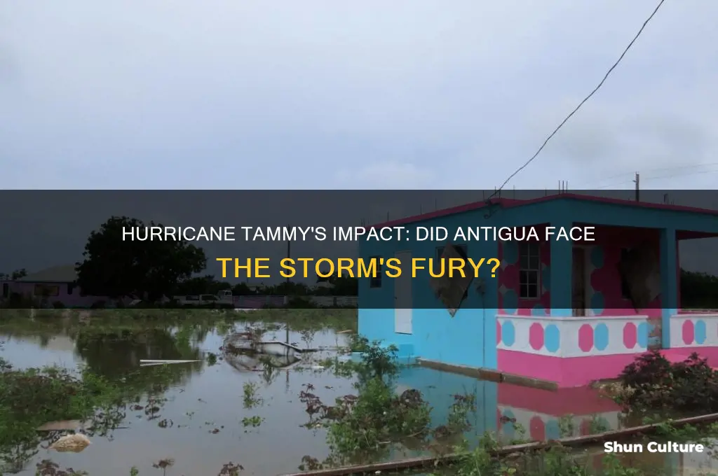 did hurricane tammy hit antigua