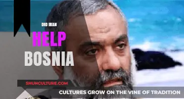 Iran's Role in Bosnia: Uncovering the Hidden Support During the War