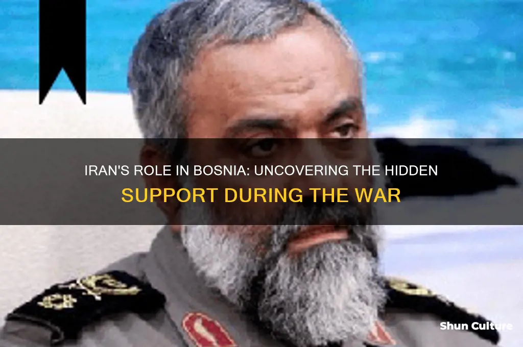 did iran help bosnia