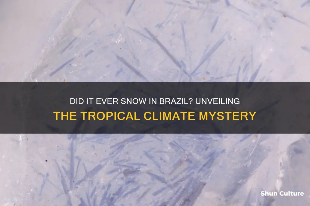 did it ever snow in brazil