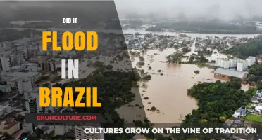 Brazil's Flood Crisis: Causes, Impacts, and Recovery Efforts Explained
