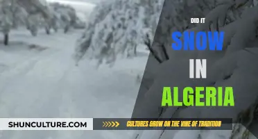Did It Snow in Algeria? Exploring Rare Weather Phenomena in North Africa