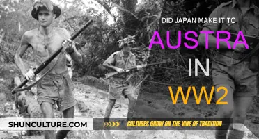 Japan's WW2 Ambitions: Australia's Near Miss