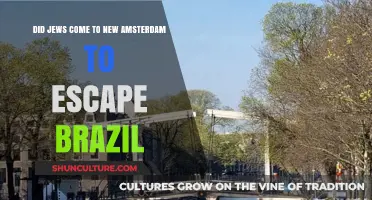 Jewish Migration: Escaping Brazil for New Amsterdam's Promise