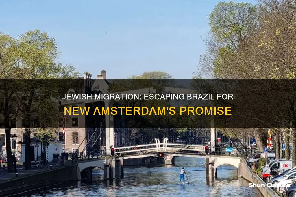 did jews come to new amsterdam to escape brazil